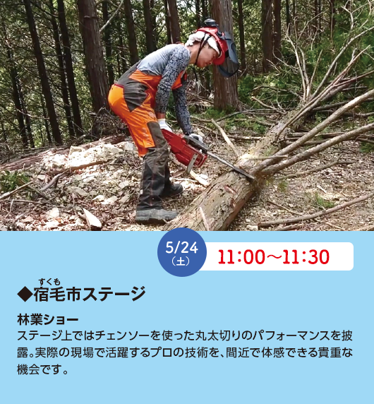 イベント,泉佐野